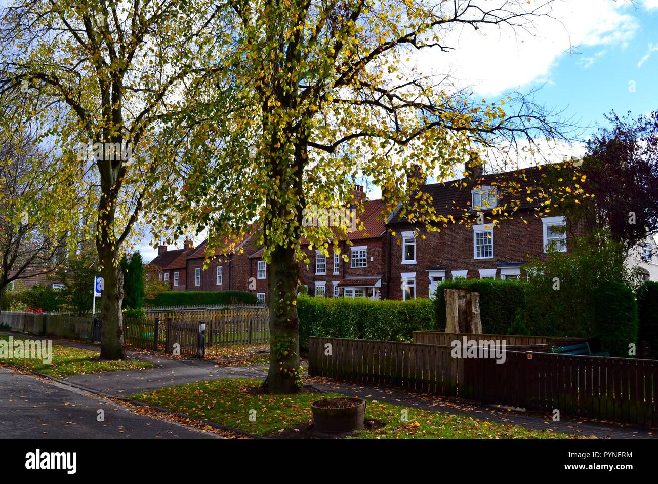 Hartburn village hires stock photography and images Alamy