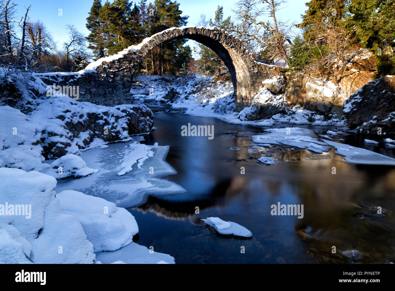 The packhorse bridge in Winter at Carrbridge in the Scottish Highlands Stock Photo