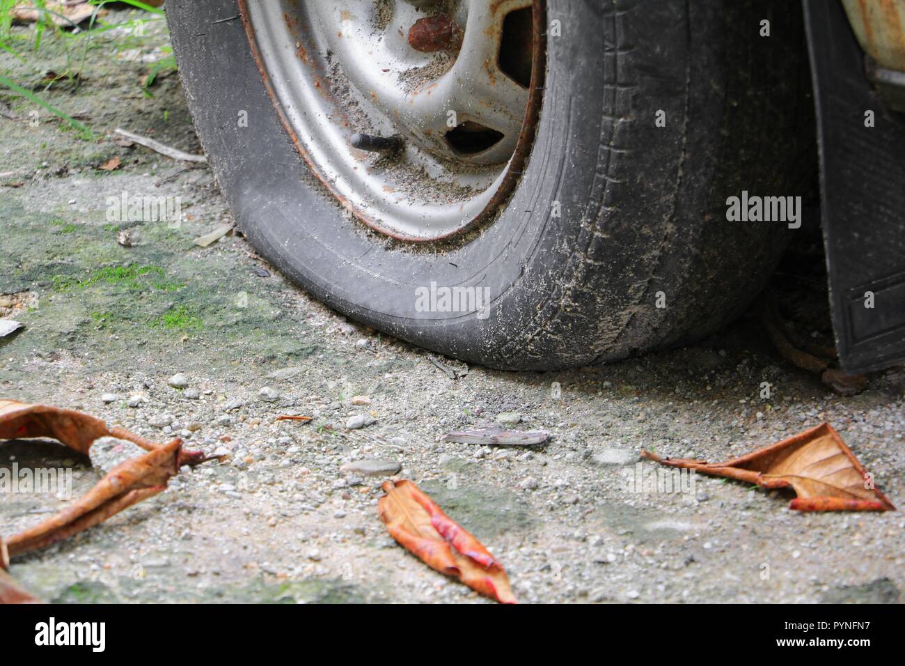 Close up wheel flat tire of the car old and cracked on the road Stock ...
