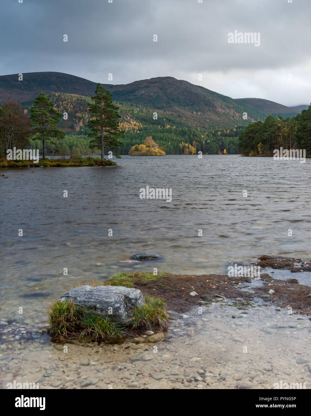 Loch an Eilein, Rothiemurchus Estate in the Cairngorm National Park in the Scottish Highlands