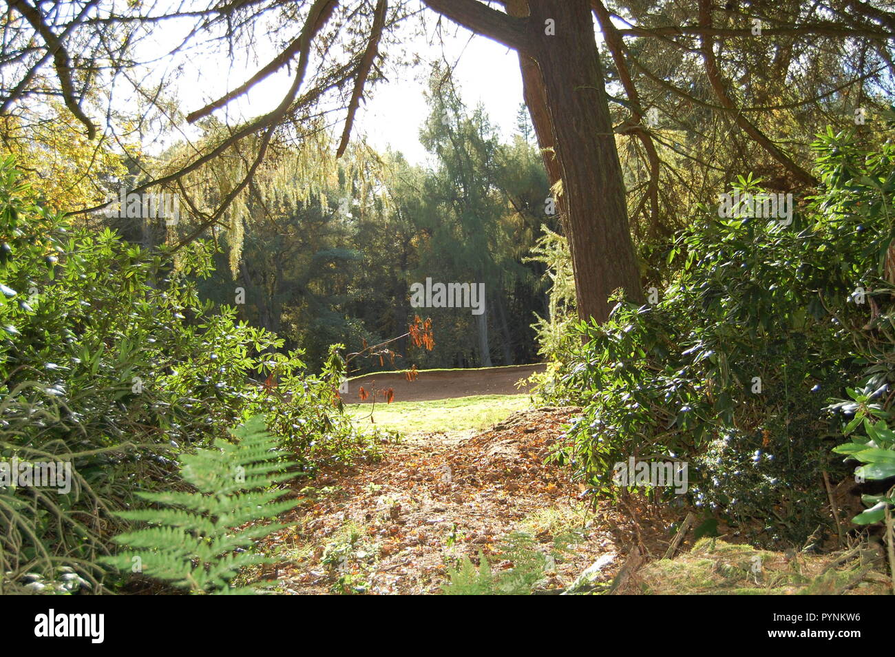 St Ives Bingley Stock Photo Alamy