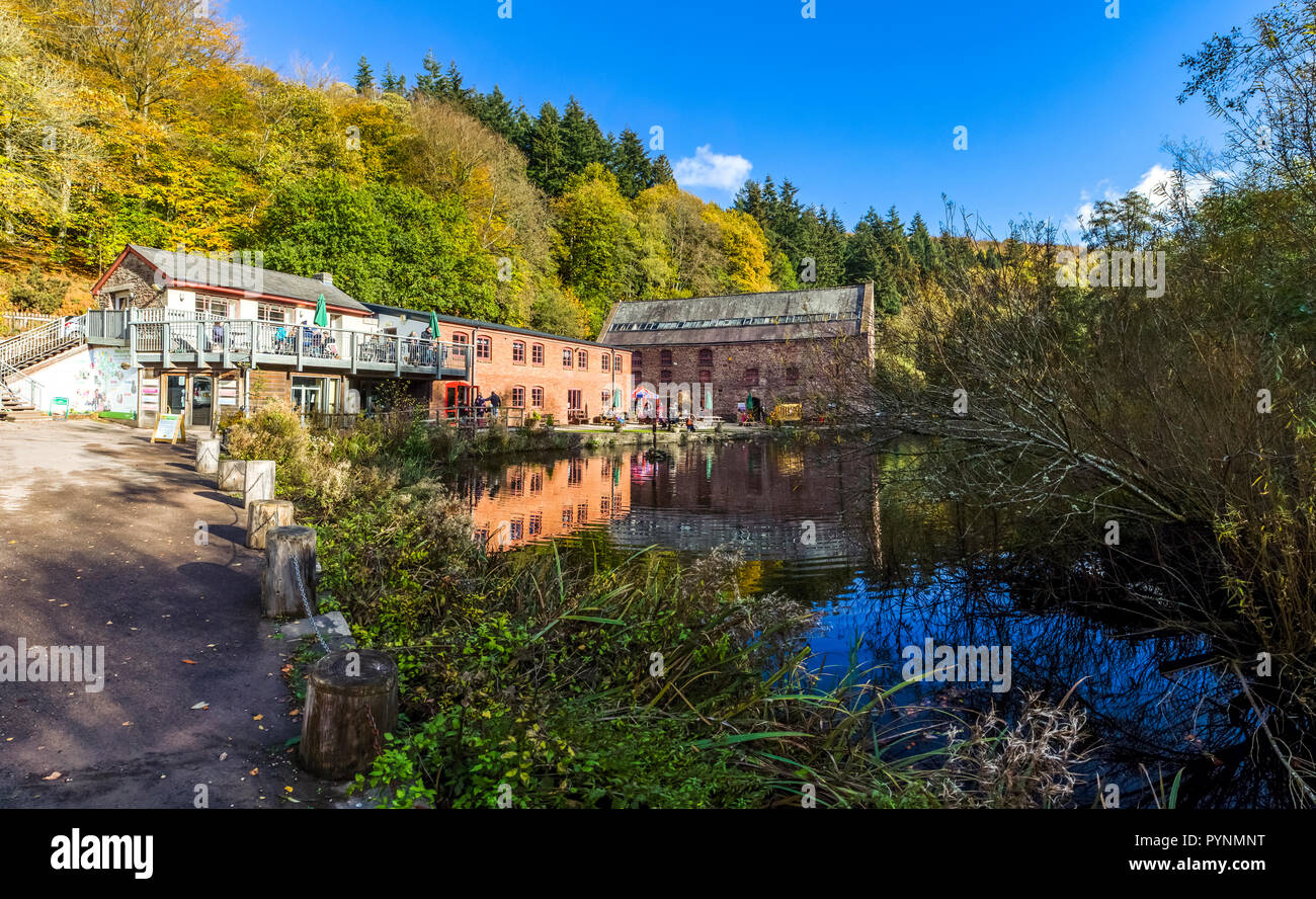 Pumpkin Festival, Dean Heritage Centre, Forest of Dean Stock Photo Alamy