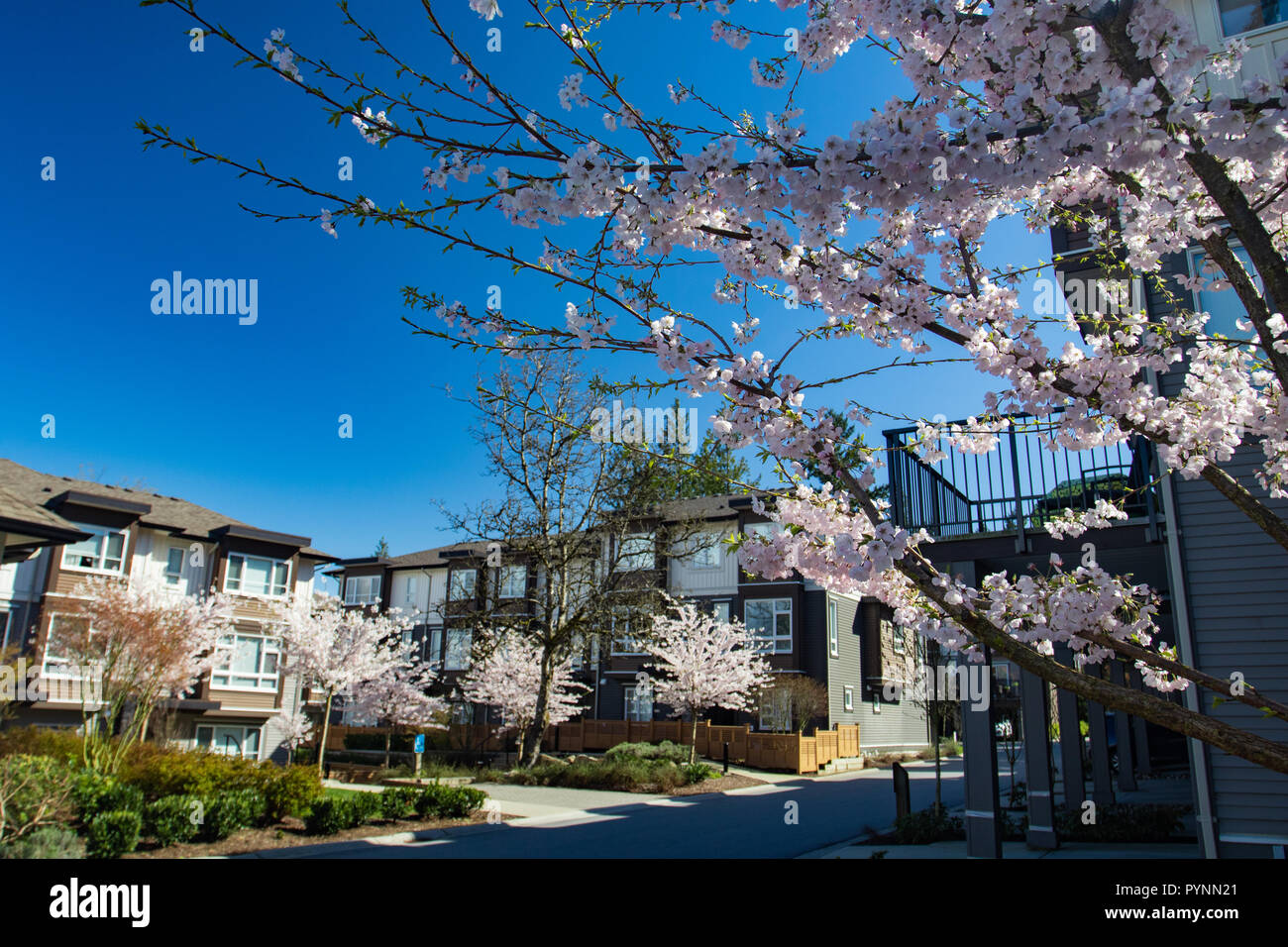 Modern low rise architecture hi-res stock photography and images - Alamy