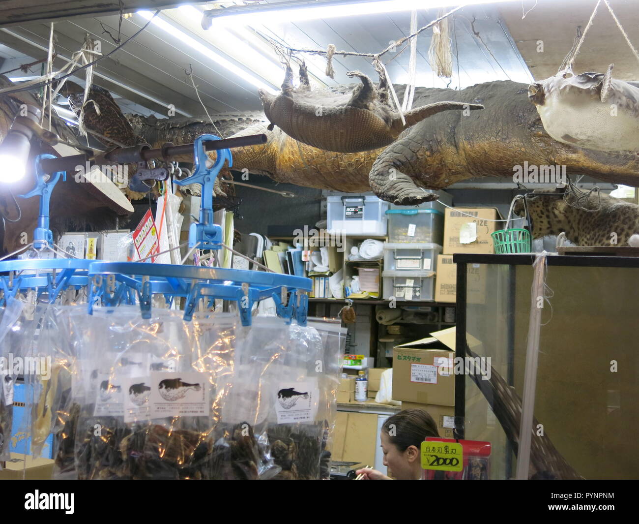 Strange creatures are hung from the ceiling in this Japanese store selling packets of local delicacies; Tokyo street market Stock Photo