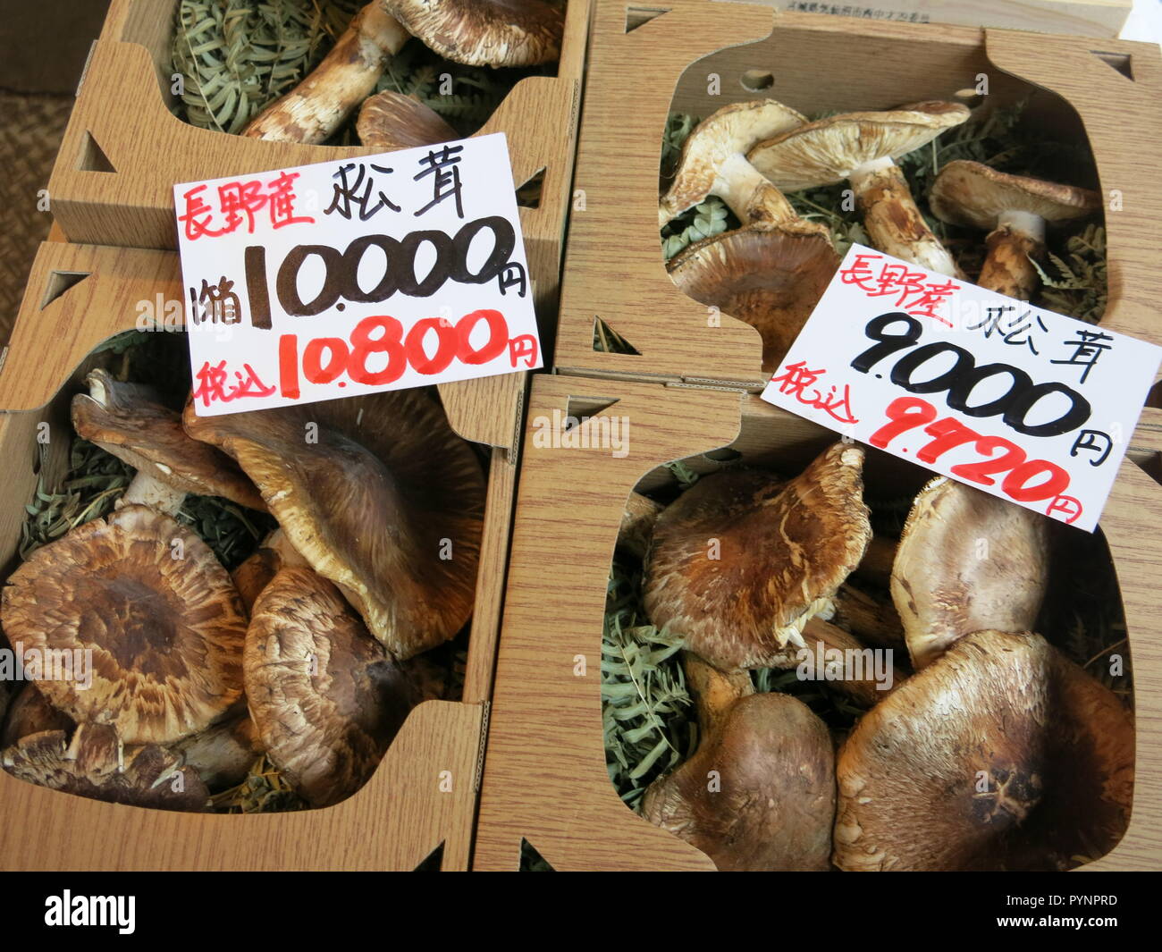 Mushrooms for sale at a Japanese street market in central Tokyo Stock Photo