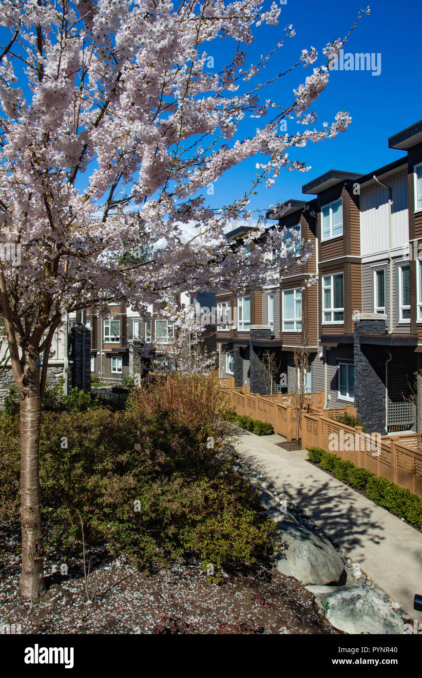 Low rise apartment complex hi-res stock photography and images - Alamy