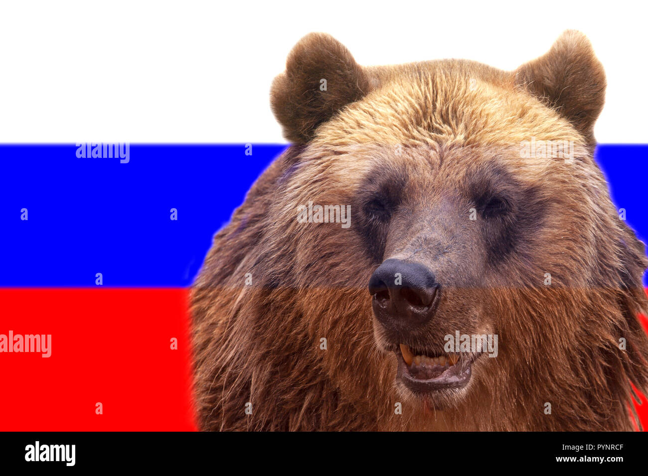 Bear in a Hat: A blog from Stetson's Program in Russian, East European, and  Eurasian Studies: Flag facts!