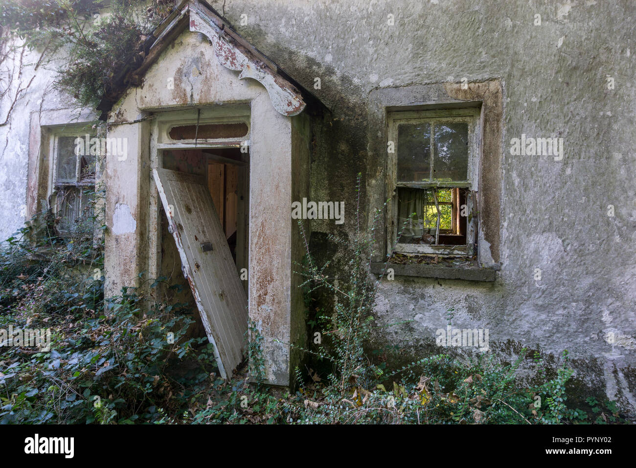 Front of derelict cottage with entrance door leaning to one side in small porch. With a broken window on either side. Vegetation on front of cottage. Stock Photo