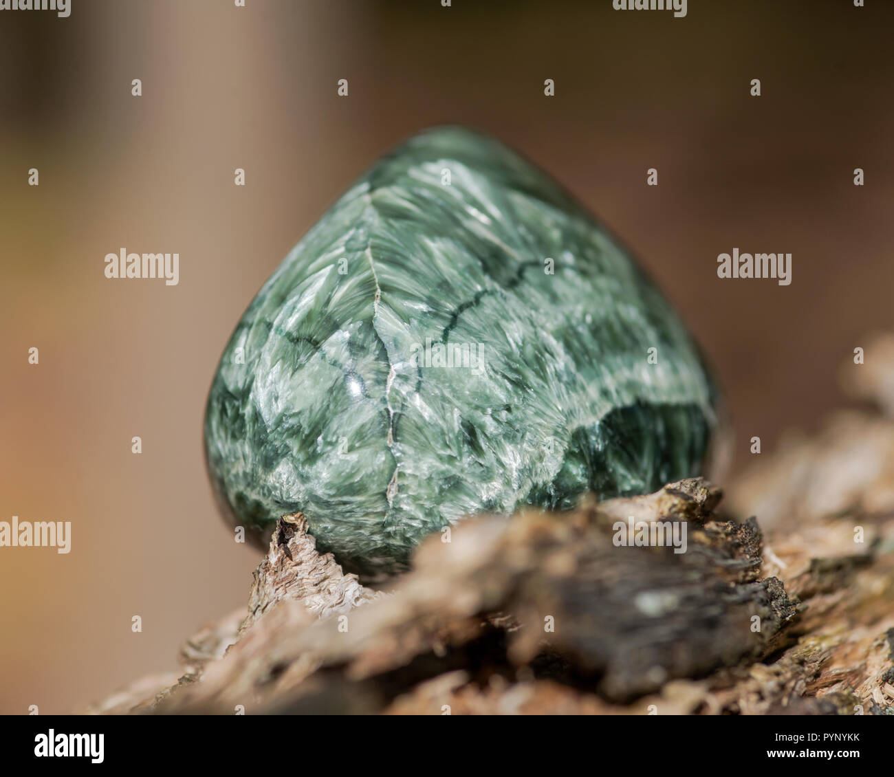Seraphinit Green polished Seraphinite specimen from Eastern Siberia in Russia on ...