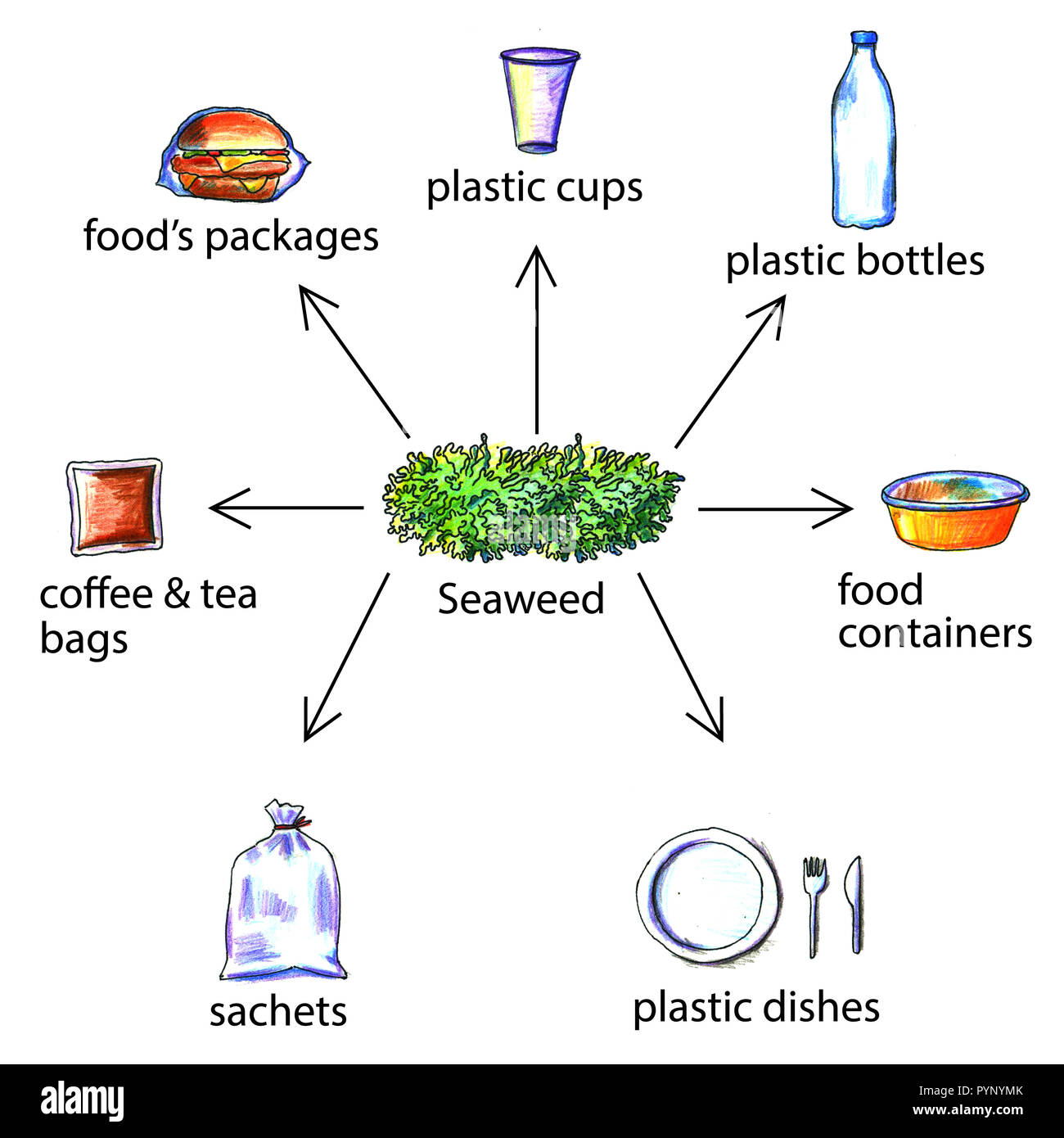 Bioplastic Products Examples From Seaweed Seaweed Replace Plastic bioplastic-products-examples-from-seaweed-seaweed-replace-plastic