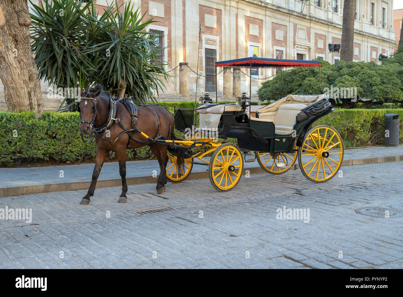 Old horse drawn carriage at Seville street Stock Photo Alamy
