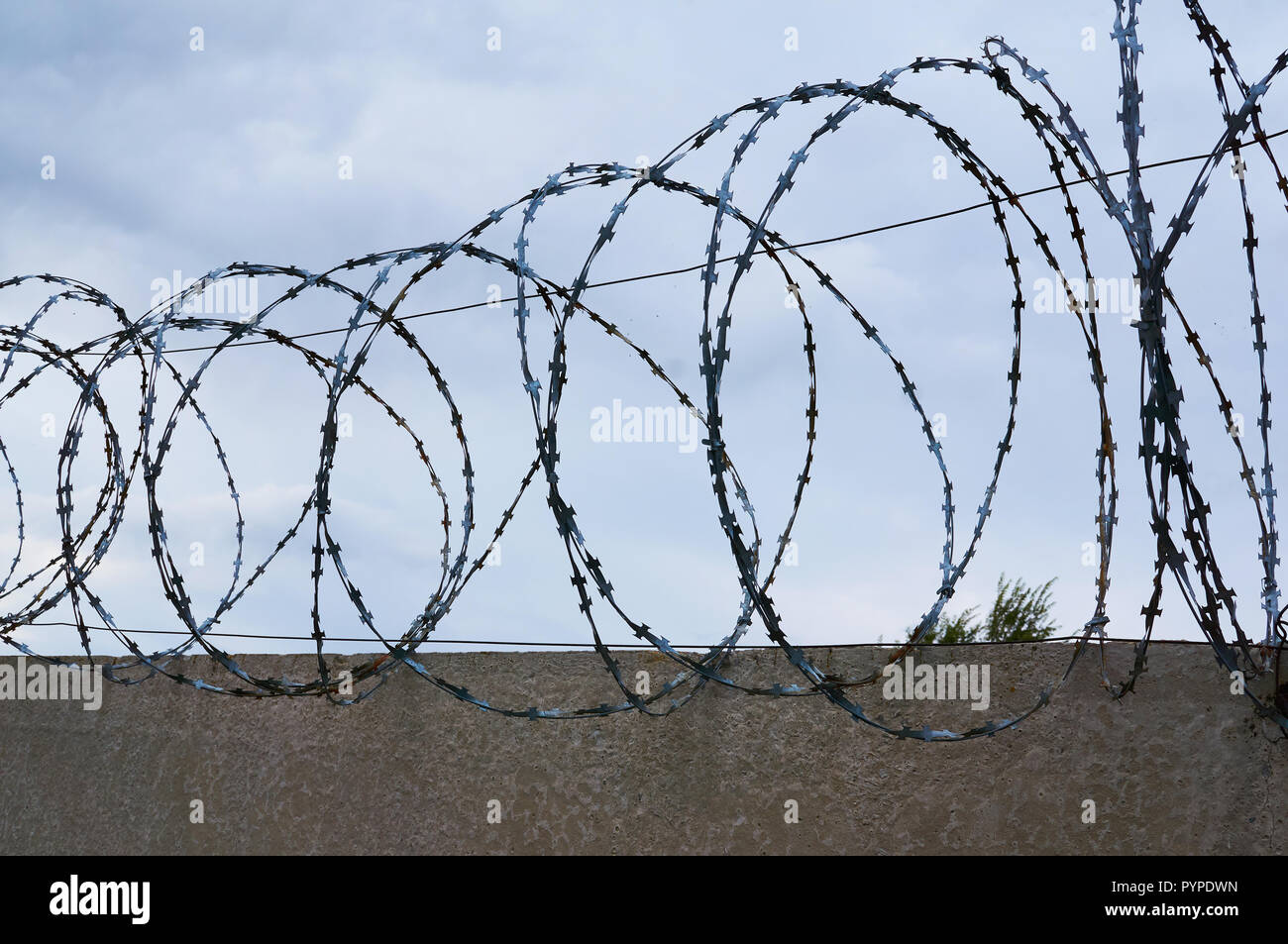 Barbed wire on the background of a concrete fence and cloudy sky. Stock Photo