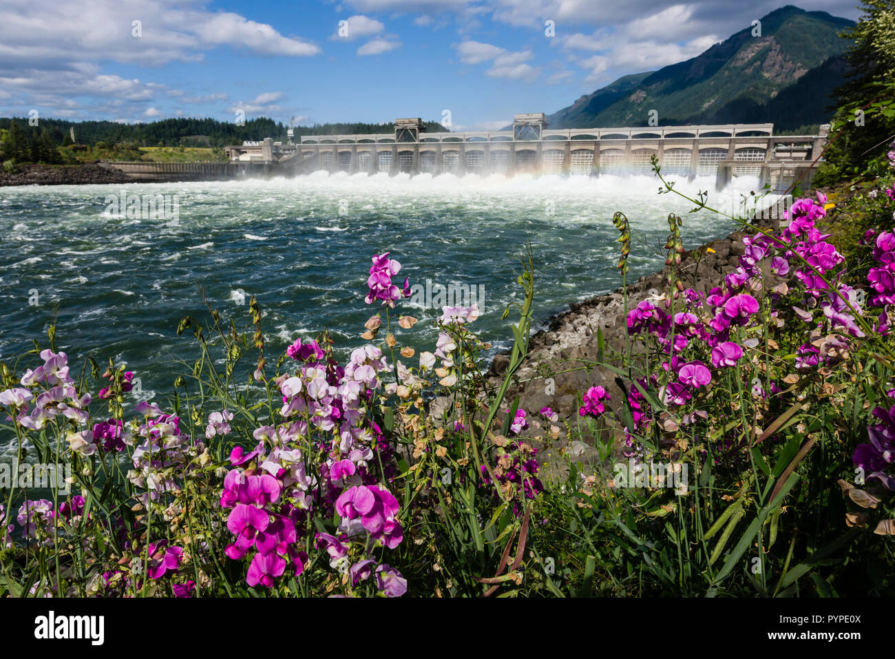 Dams, Generators, Bonneville Dam, Oregon/Washington Stock Photo