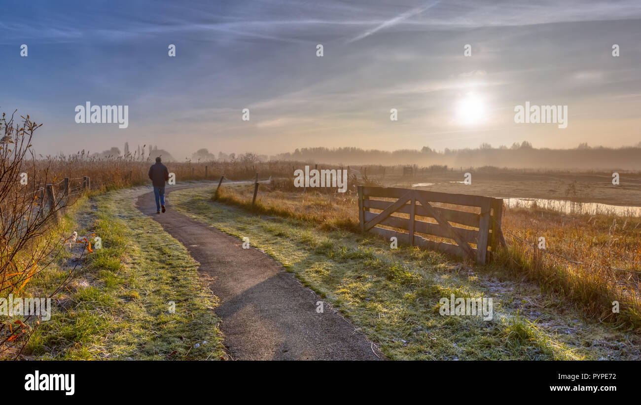 Walking track in misty rural polder landscape with pedestrian in distance near Groningen, Netherlands Stock Photo