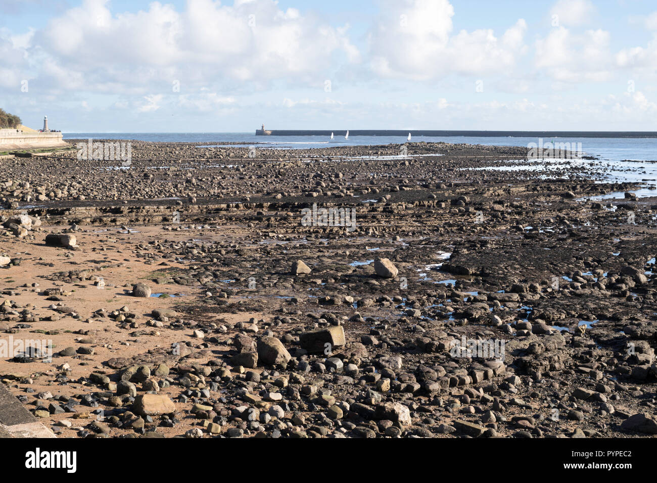 The Black Middens rocks exposed at low tide within the Tyne estuary, North Shields, north east England, UK Stock Photo