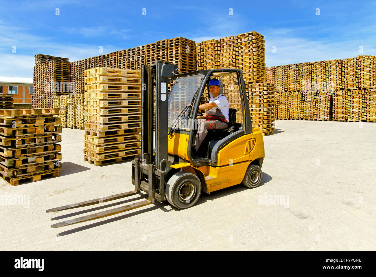 Forklift Operator In Pallet Warehouse On The Open Stock Photo Alamy