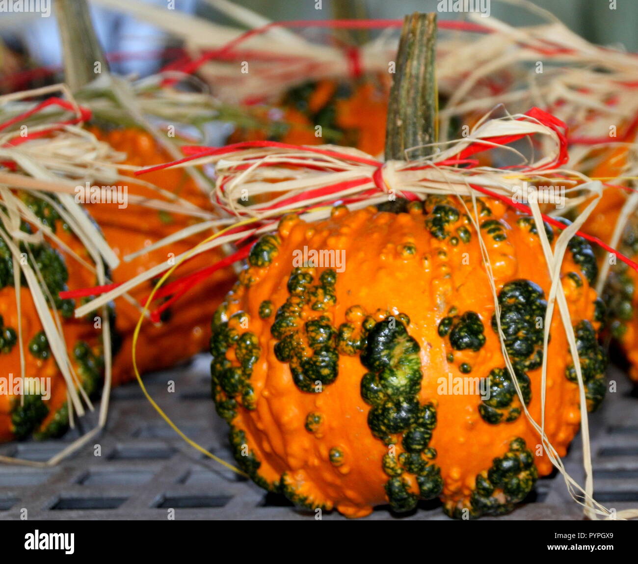 warty decorated gourd Stock Photo - Alamy