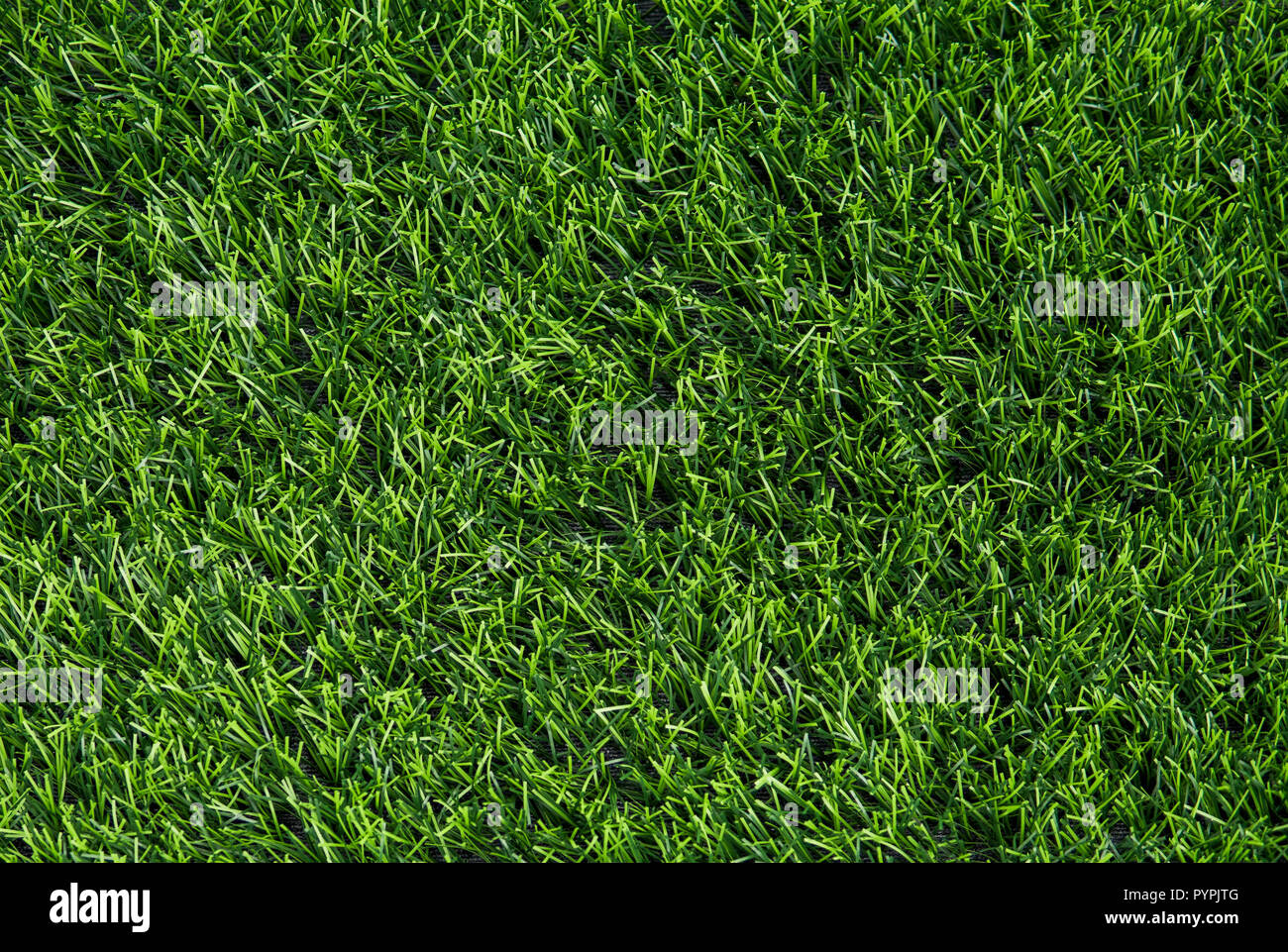 Artificial green grass texture background top view. Stock Photo