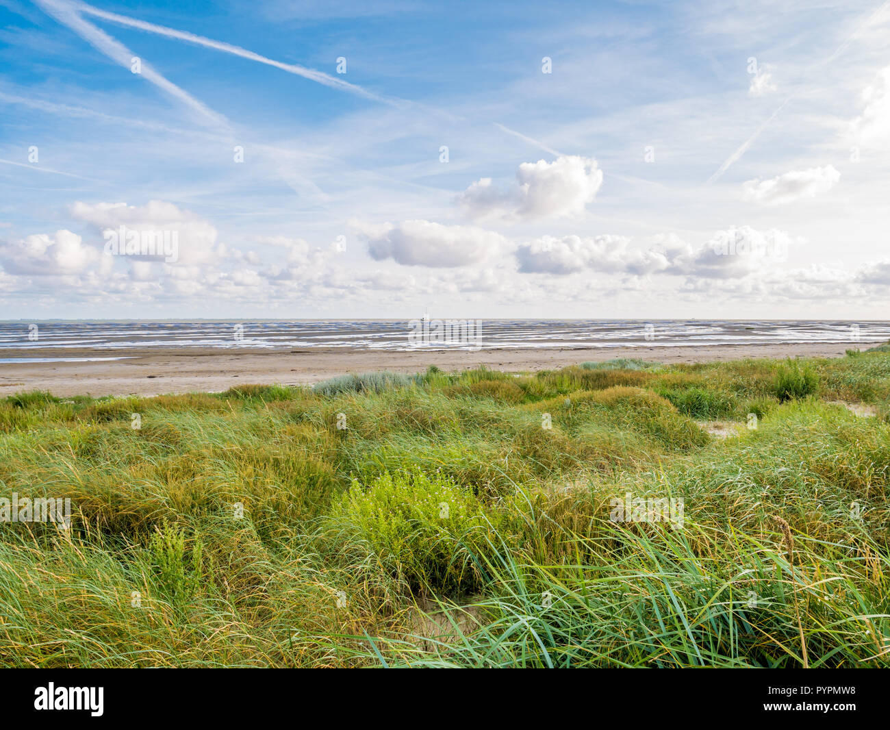 Coastline with dunes, beach and boat dried out on tidal flats at low tide of Wadden Sea, Boschplaat, Terschelling, Netherlands Stock Photo