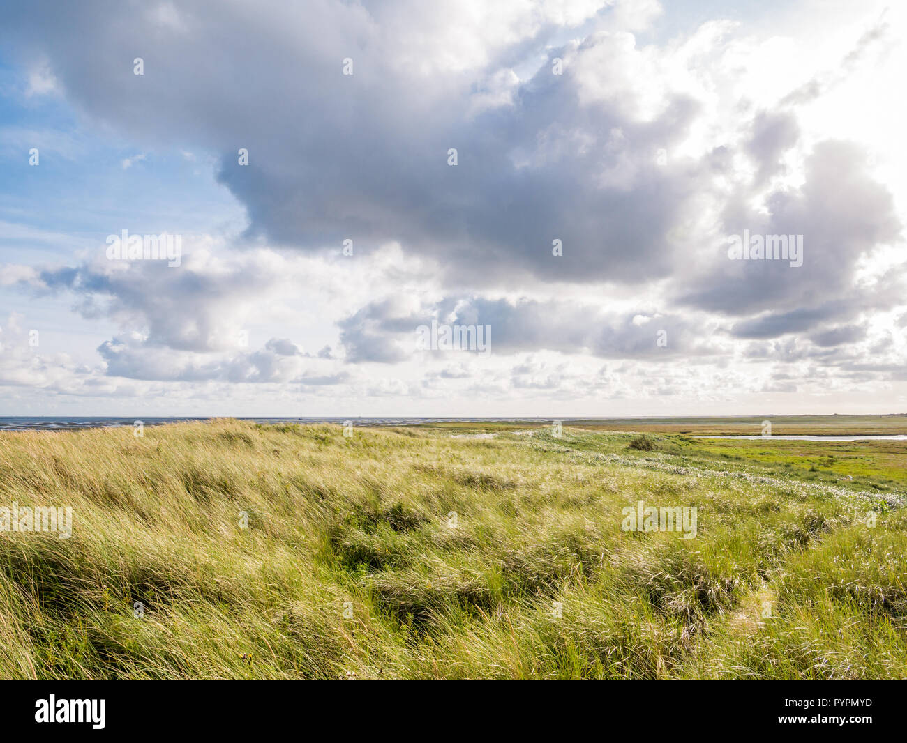 View from Boschplaat with salt marshes and dunes on Terschelling island to tidal flats at low tide of Wadden Sea, Netherlands Stock Photo