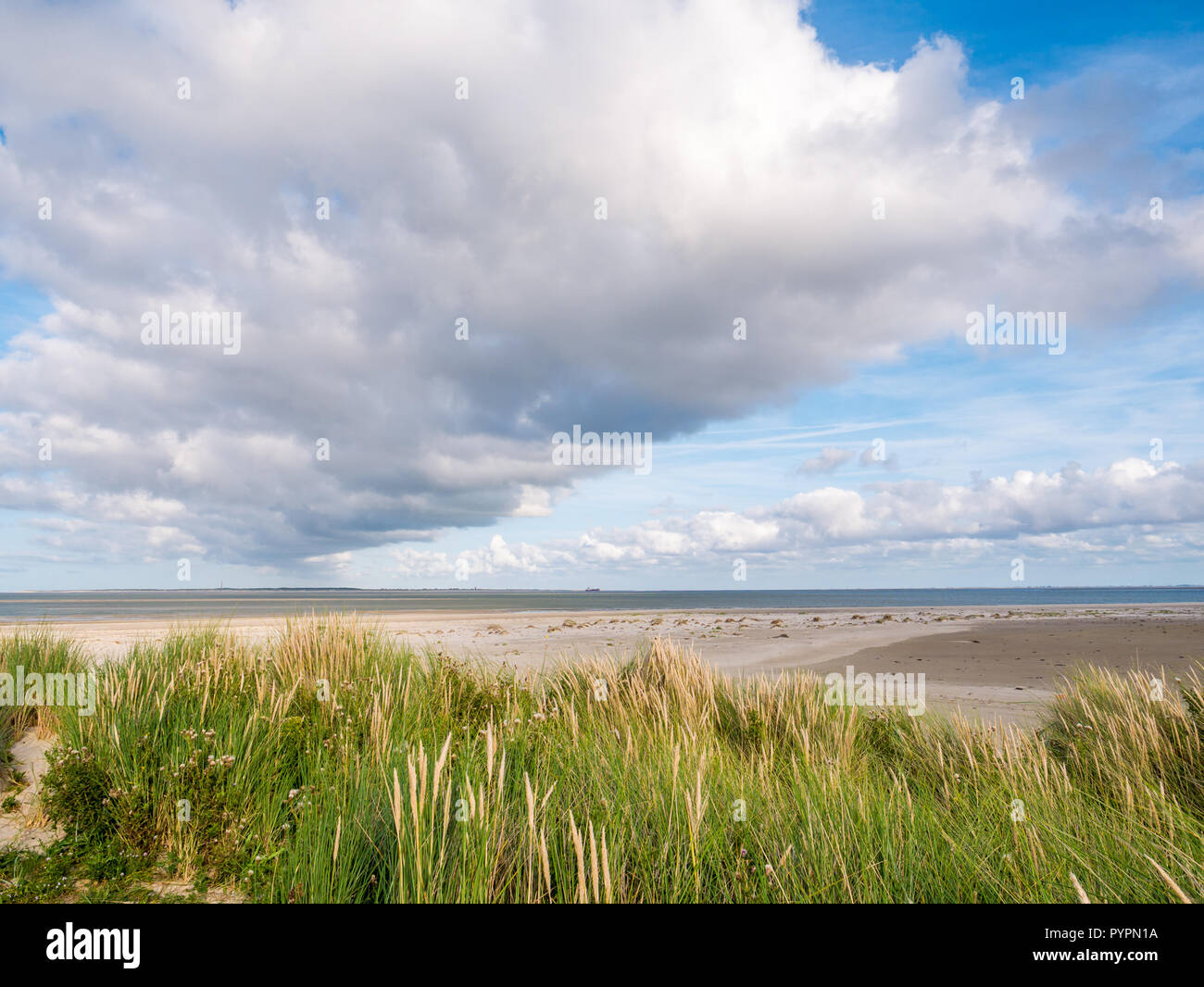 View from Boschplaat on Terschelling island to tidal outlet Borndiep and Ameland island with lighthouse, Wadden Sea, Netherlands Stock Photo