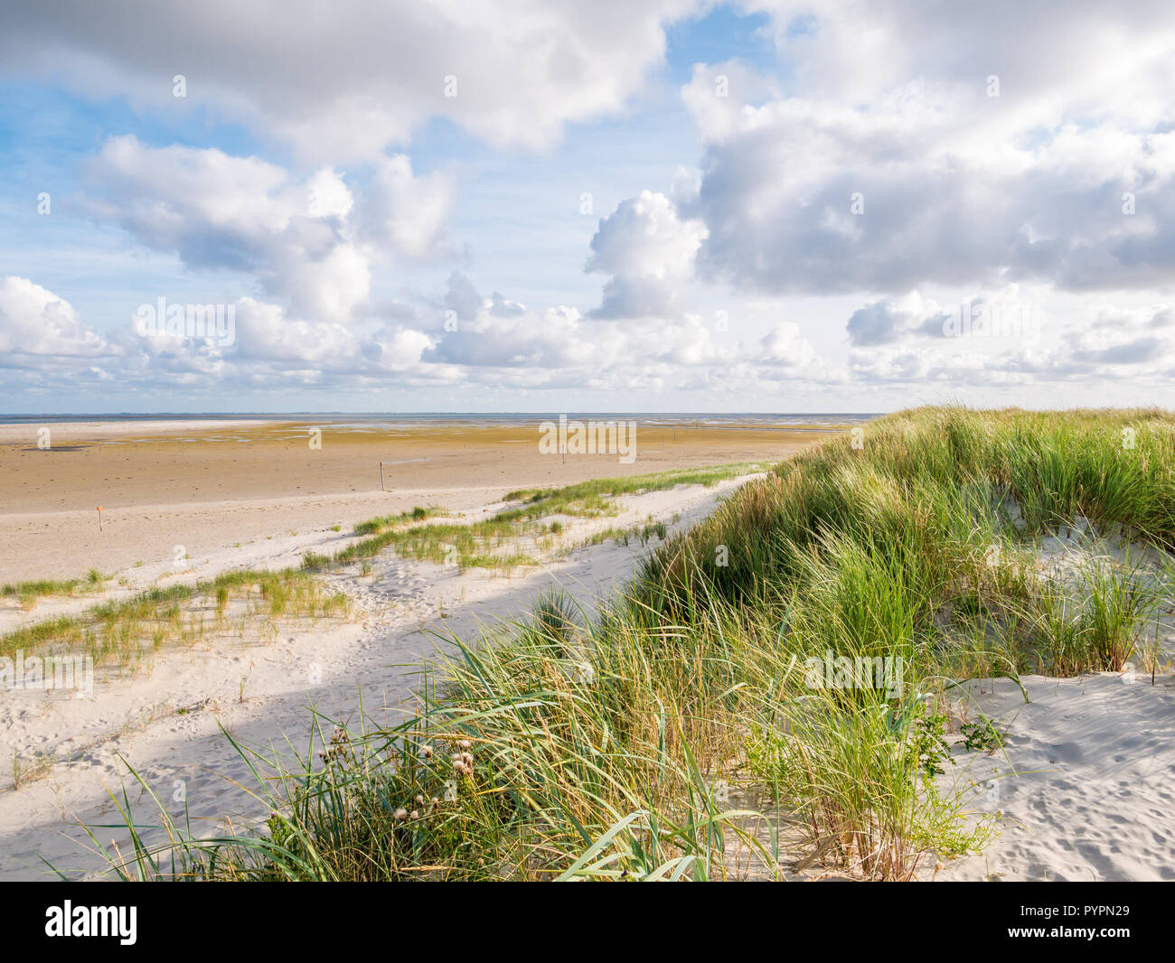 View to tidal flats of Wadden Sea at low tide from dunes and beach of nature reserve Boschplaat on Frisian island Terschelling, Netherlands Stock Photo