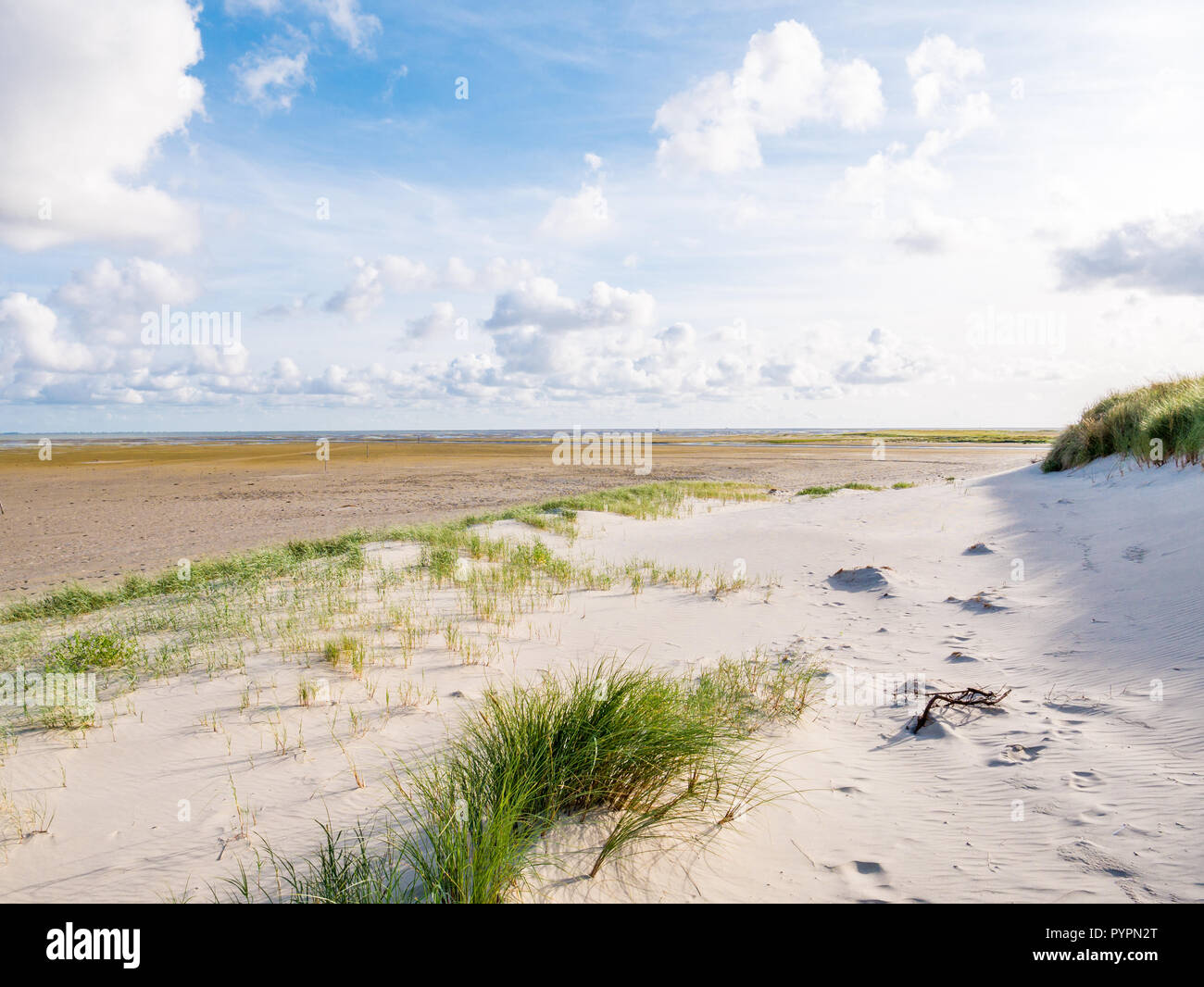 View to tidal flats of Wadden Sea at low tide from beach of nature reserve Boschplaat on Frisian island Terschelling, Netherlands Stock Photo