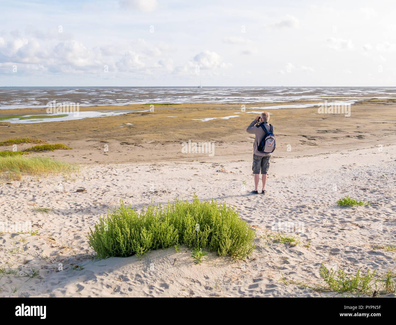 Senior man with binoculars looking at dried out boat on tidal flats at low tide of Wadden Sea from beach of Boschplaat on Terschelling, Netherlands Stock Photo