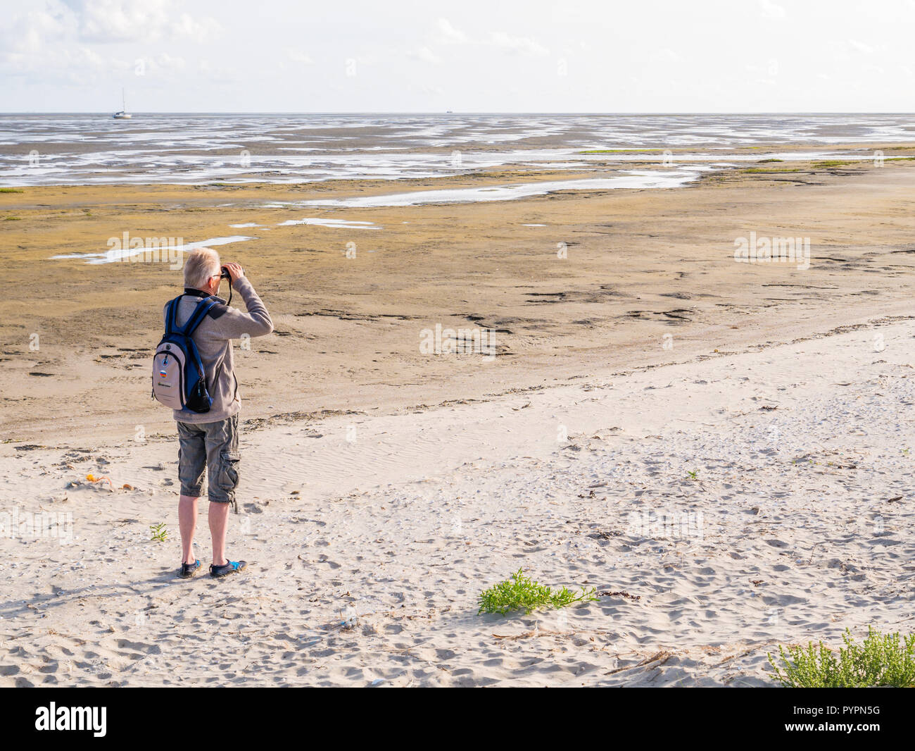 Senior man with binoculars looking at tidal flats at low tide of Wadden Sea from beach of Boschplaat on Terschelling, Netherlands Stock Photo