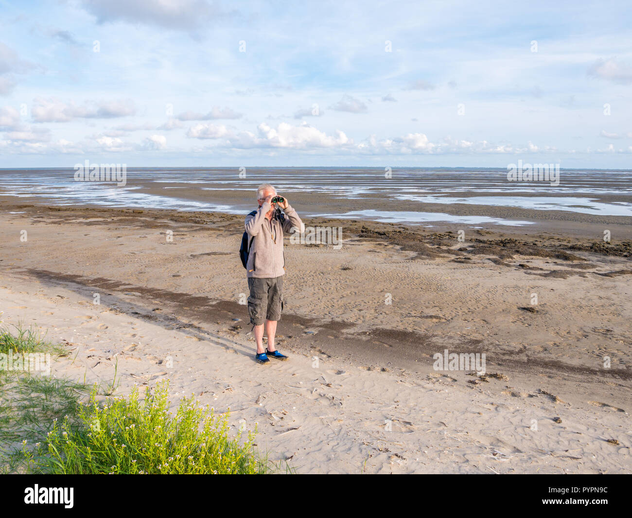 Senior man with binoculars on beach of nature reserve Boschplaat on island Terschelling, Netherlands at low tide of Wadden Sea Stock Photo