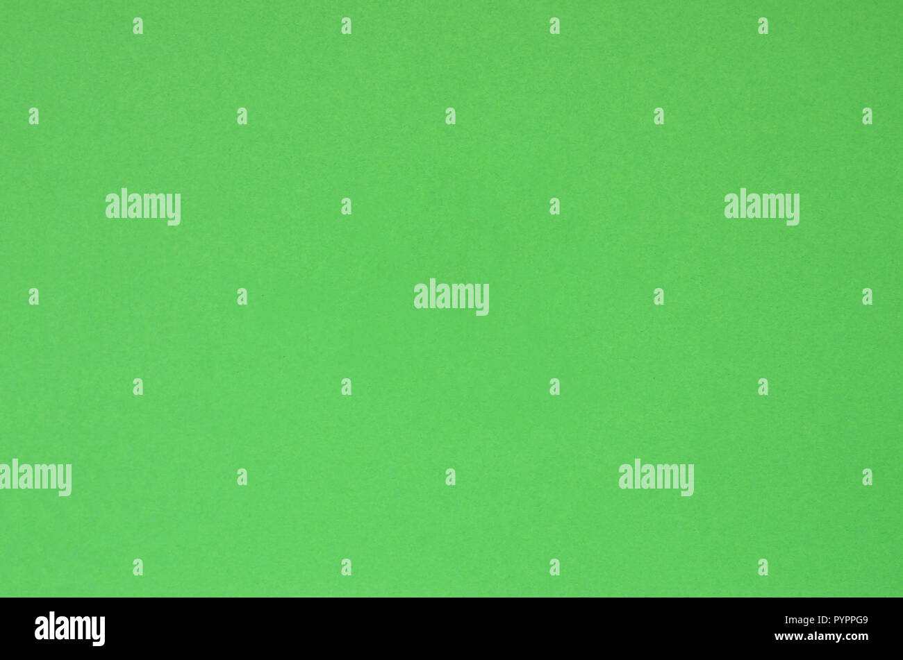 Texture background of fashion pastel color. Green geometric textured paper. Top view. Stock Photo