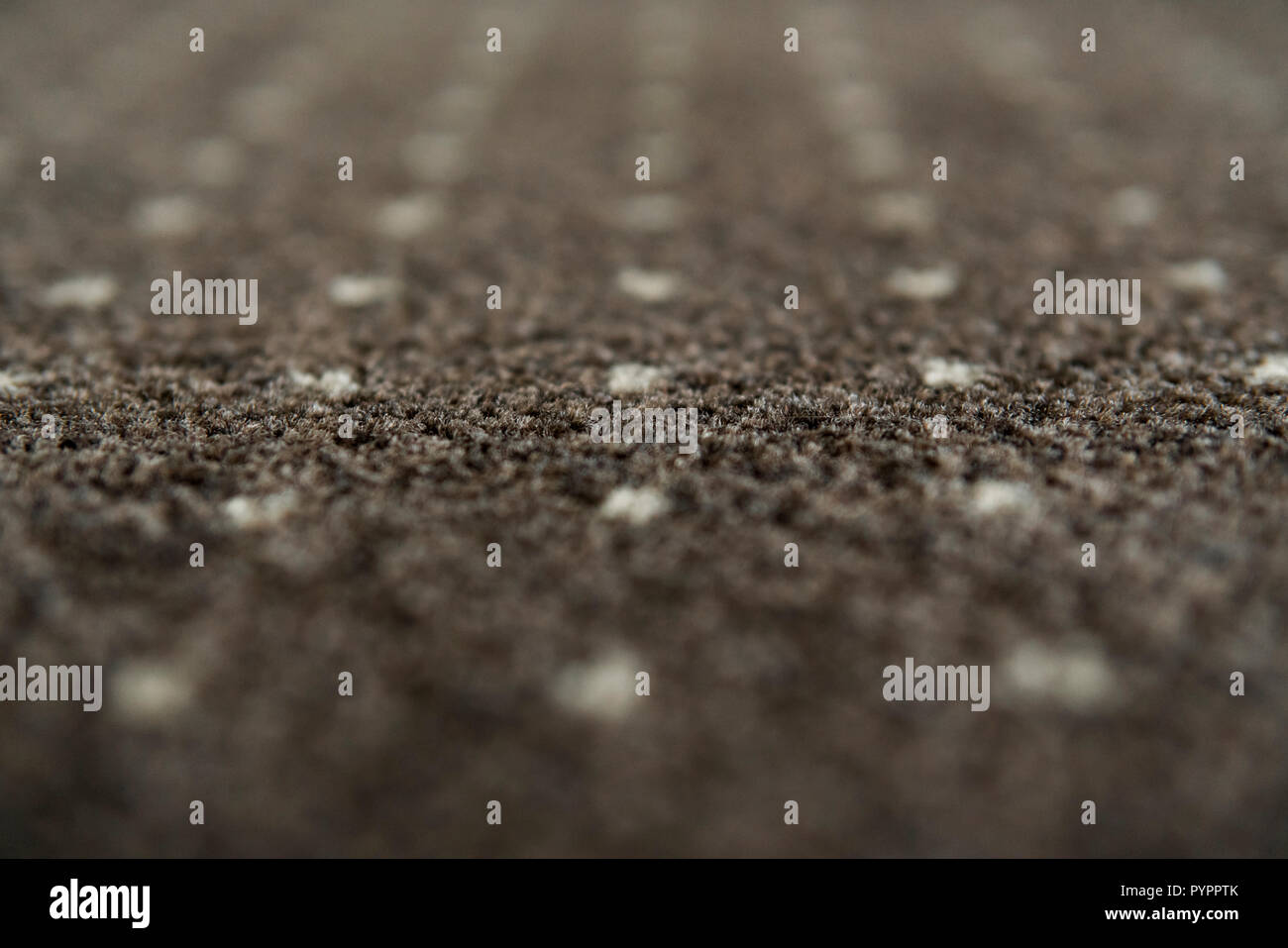 Brown carpet with a white dots texture. Indoor carpeting shoot in