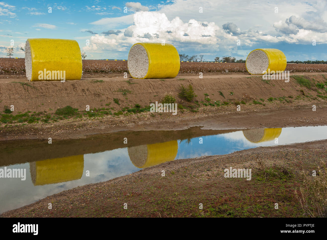 Cotton irrigation hires stock photography and images Alamy