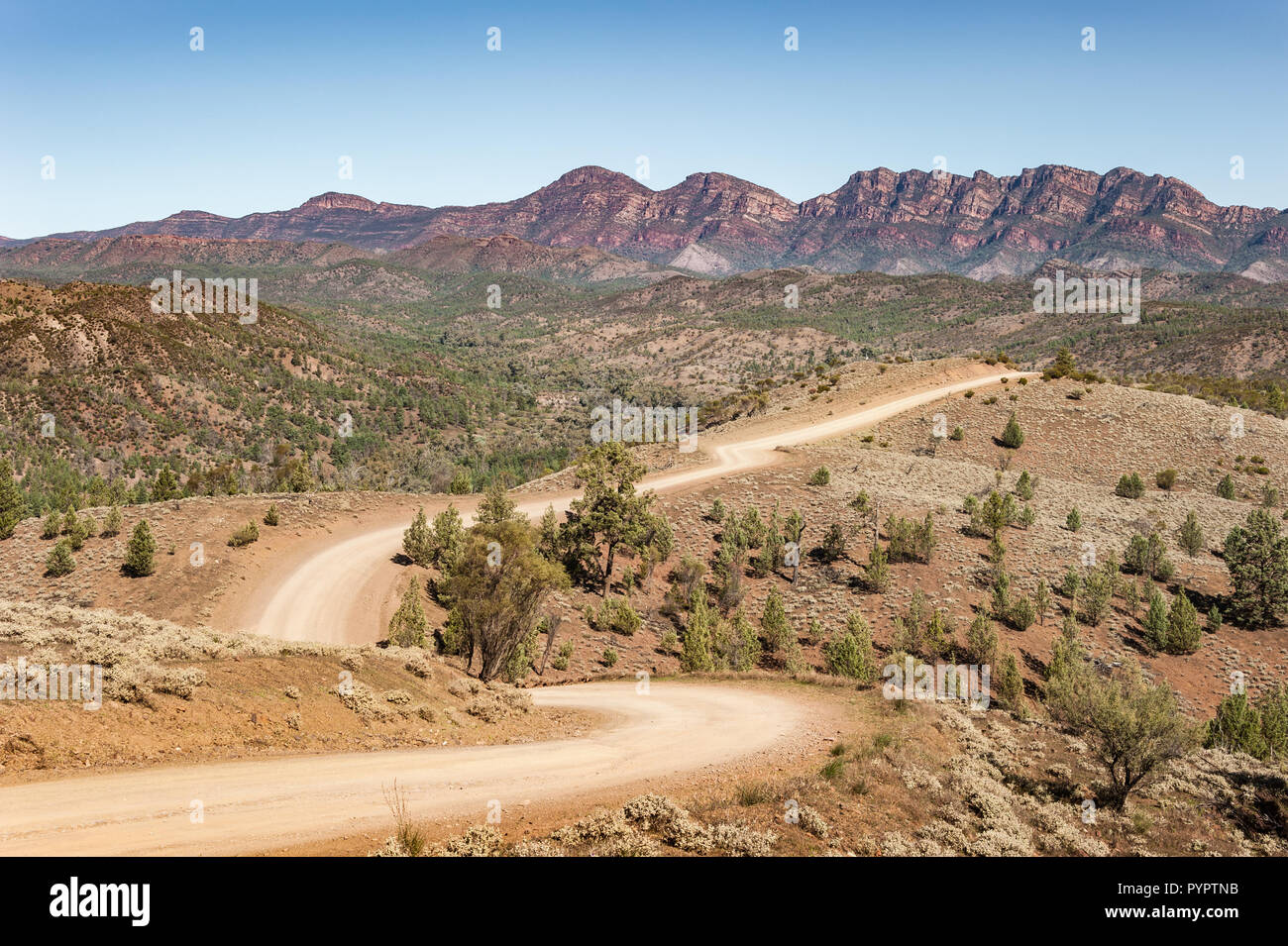An isolated outback dirt road winds its way through the desert valley towards the distant, Central Flinders Range. Stock Photo