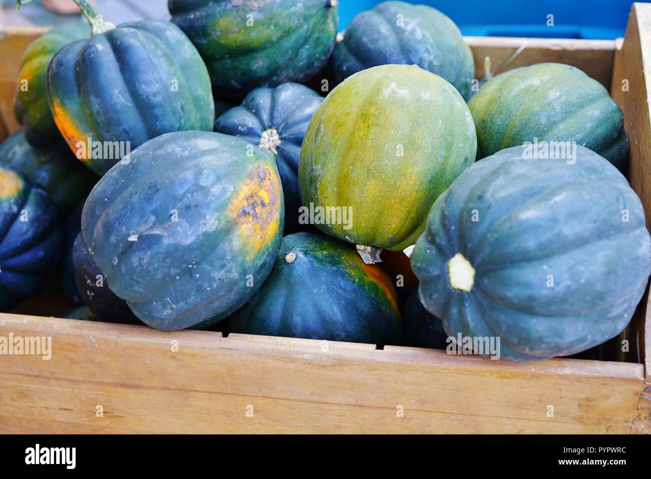 Basket of green and orange acorn squash in the fall Stock Photo