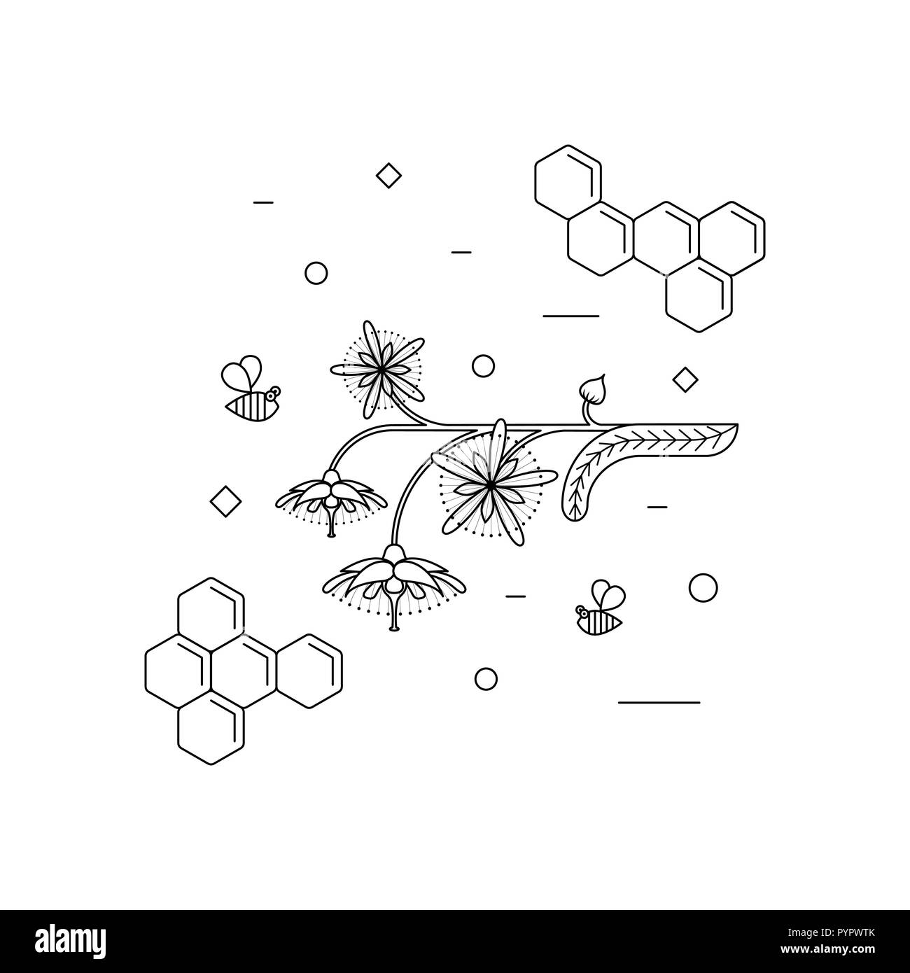 Lime honey. Linden blossoms with bees. Vector linear icons for print , web site, flyer Stock Vector
