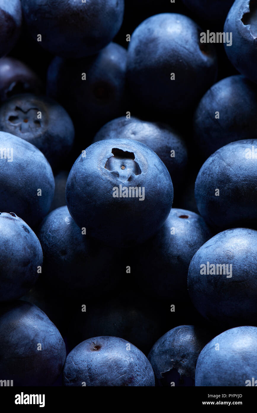 A group of fresh blueberries with a single blueberry as a focus point. Stock Photo