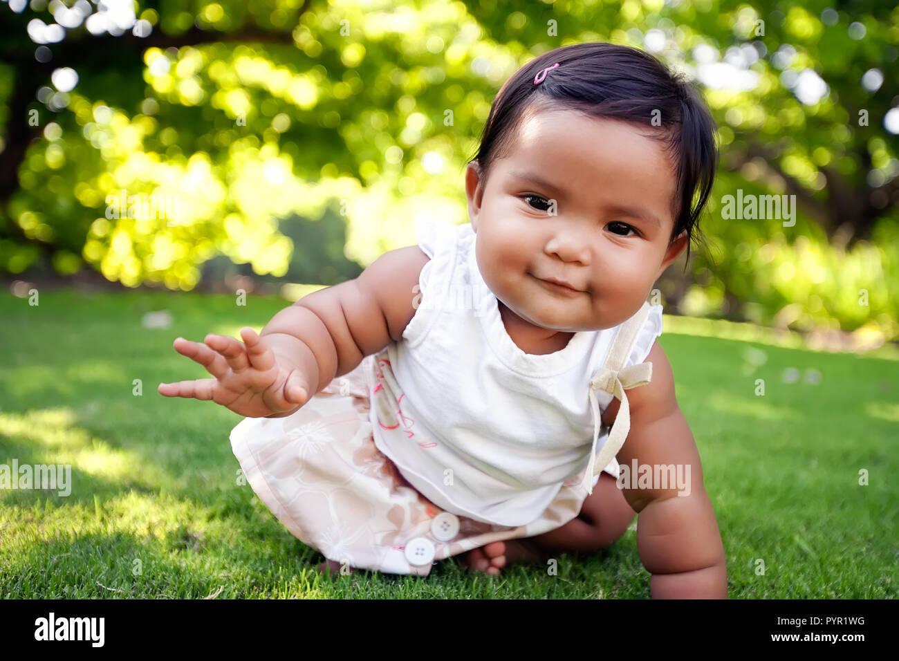 Cute baby girl with a smile on her face, reaching out to take her first crawling step on a lush green lawn at an outdoor park, of mixed ethnic race. Stock Photo