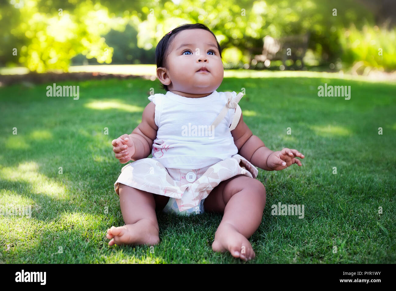 Young baby girl gazing at the sky, sitting by herself; unsupported, in a lush green lawn during spring. Stock Photo