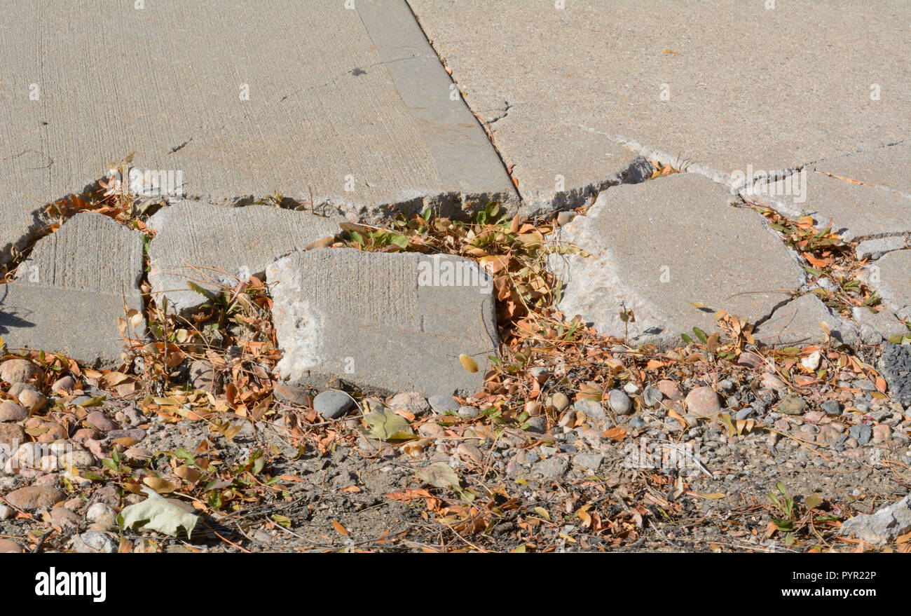 Broken sidewalk concrete in need of repair with fallen dead leaves and concept of brokenness of society Stock Photo