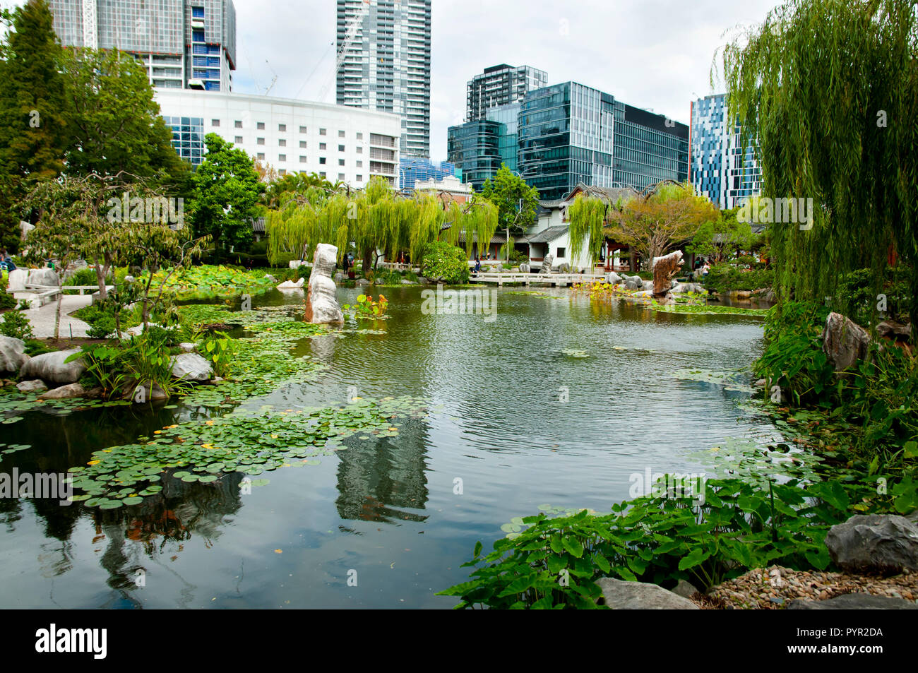 Chinese Garden of Friendship Sydney Australia Stock Photo Alamy Chinese Garden of Friendship Sydney Australia Stock Photo Alamy
