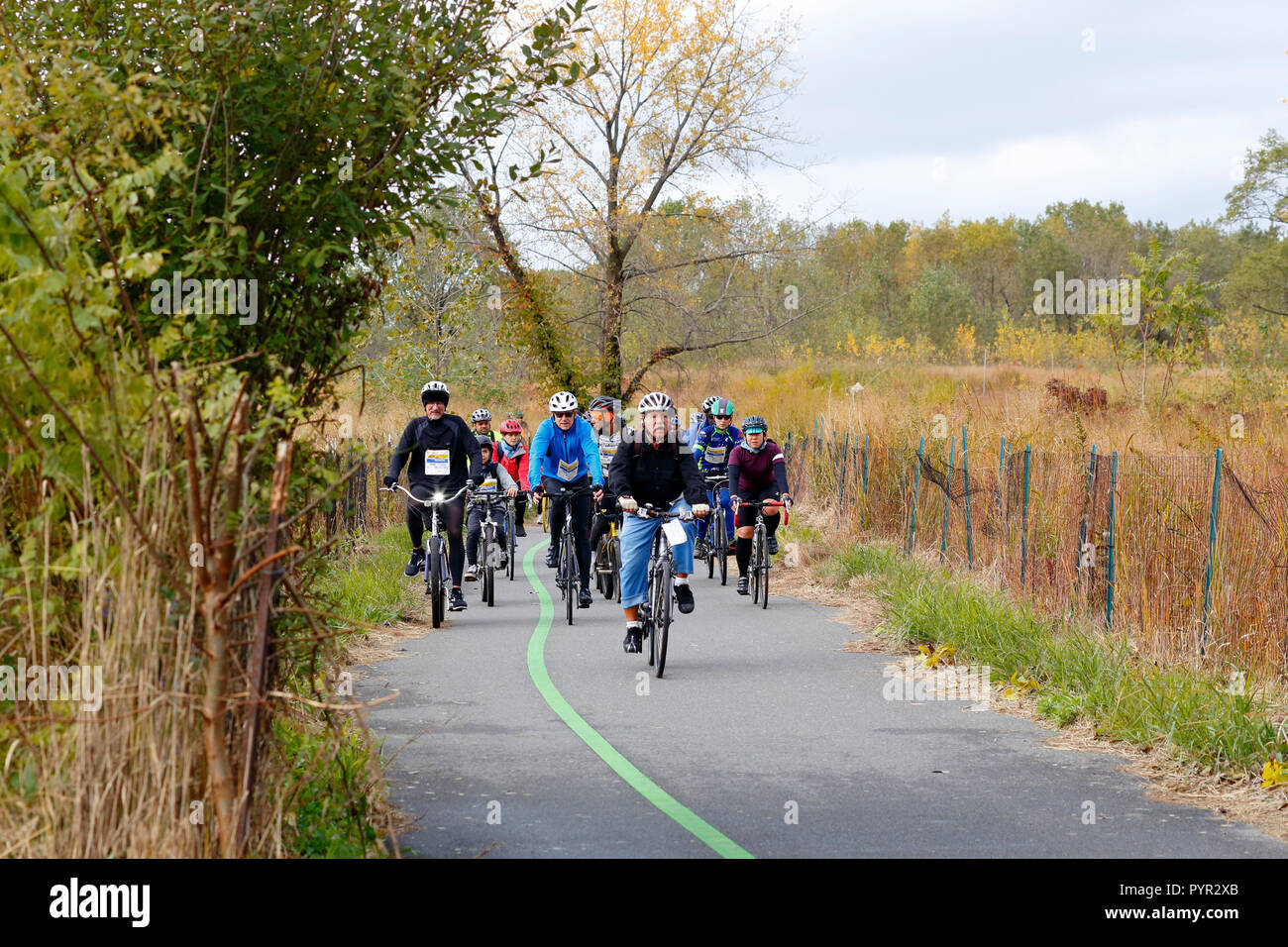 tour de bronx