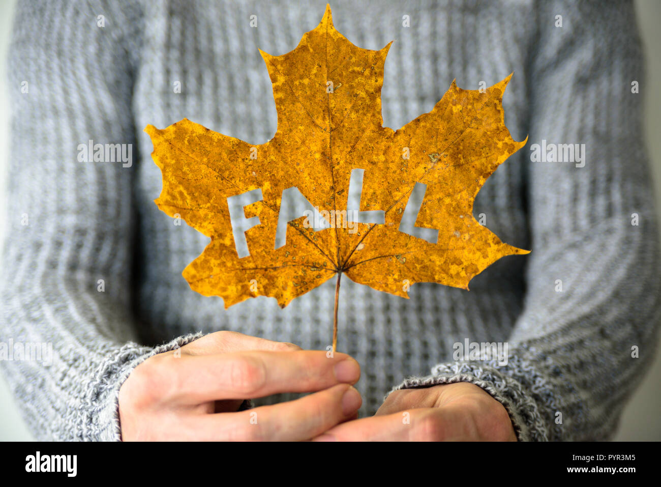 Man Hands Holding Maple Leaf With Cutted Out Word Fall Warm Knitted Sweater On Background Stock Photo Alamy