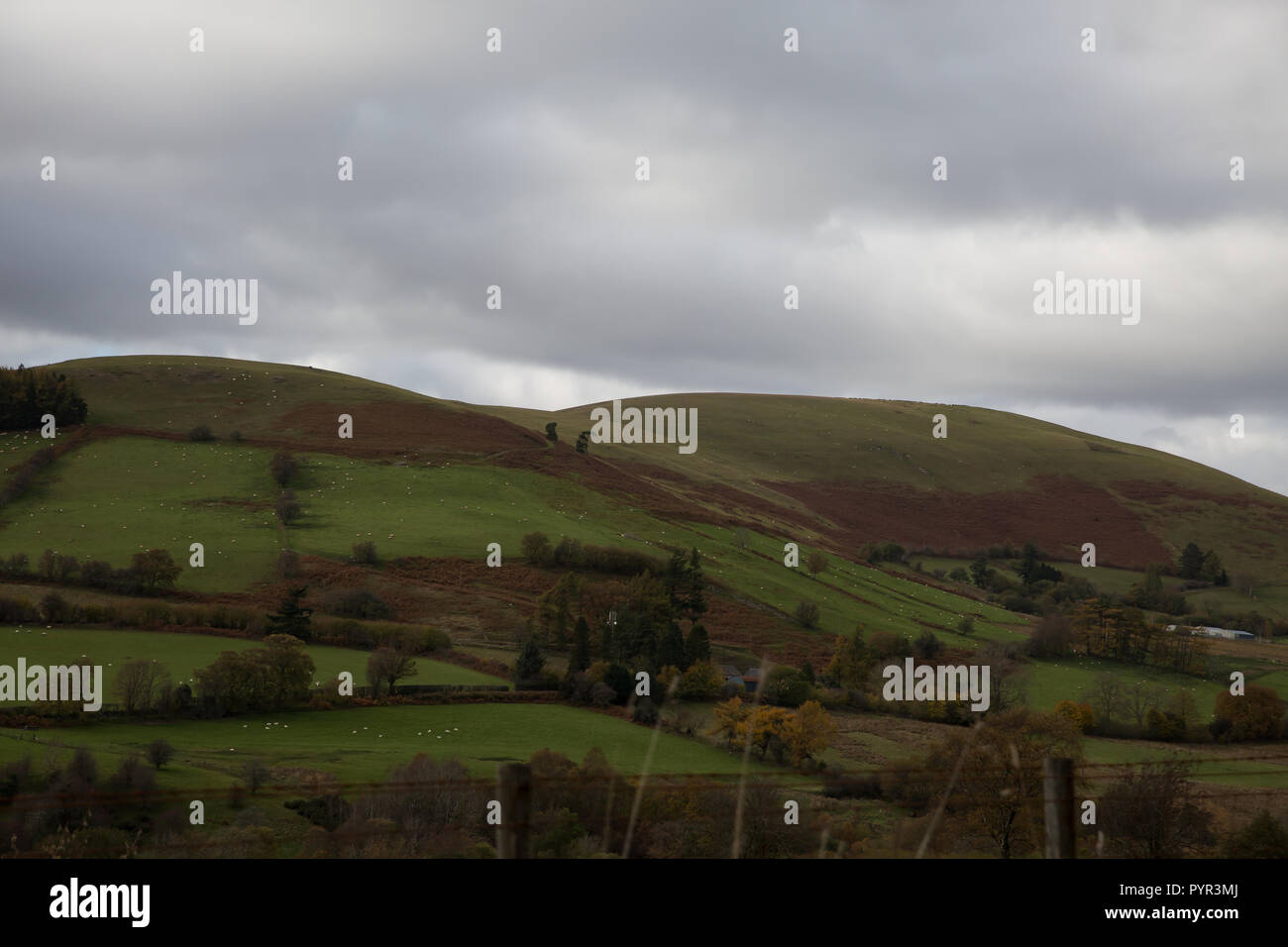 Cambrian Mountains in Wales Stock Photo Alamy