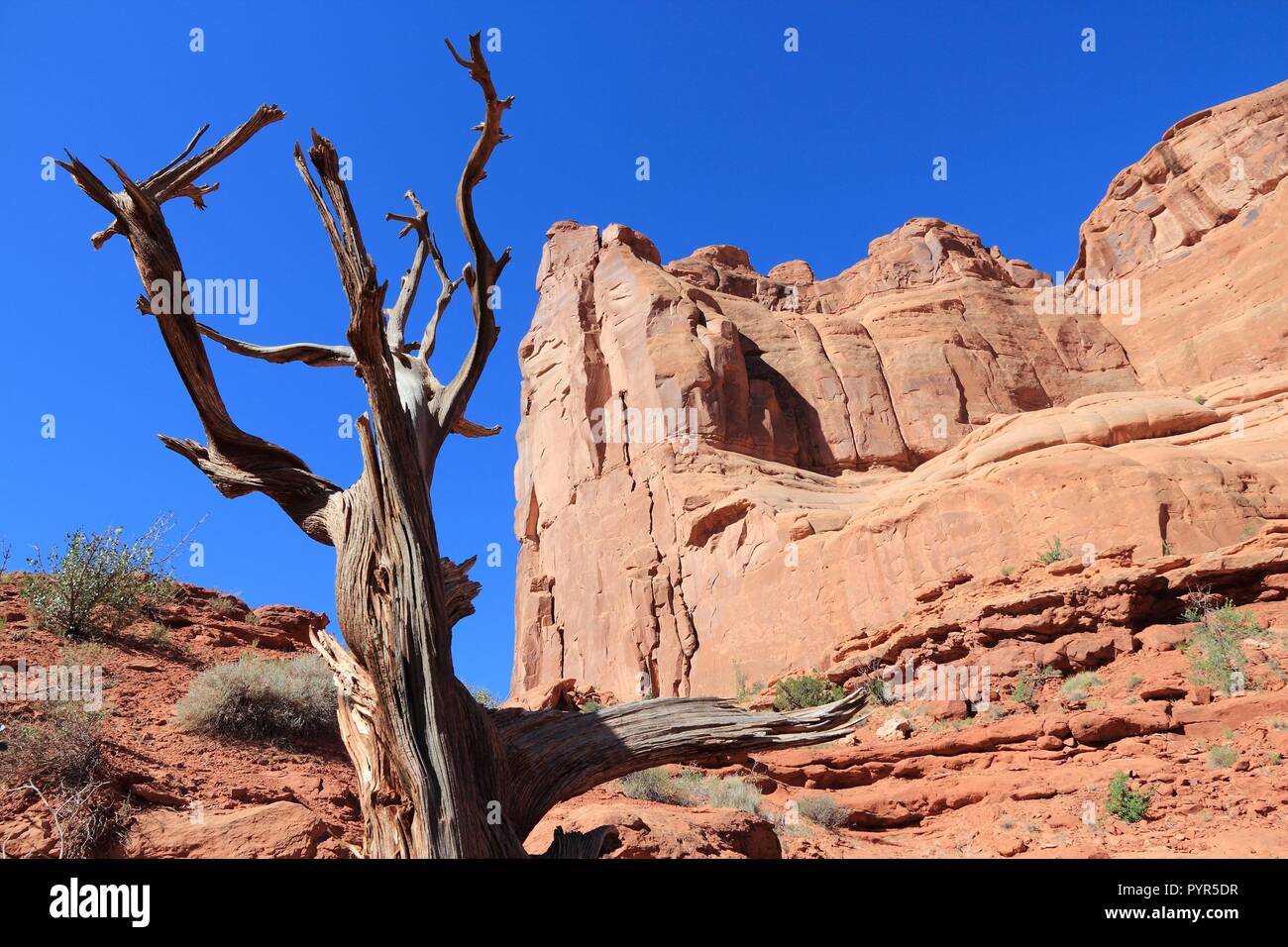 Arches National Park in Utah, USA. Famous Park Avenue trail. Stock Photo