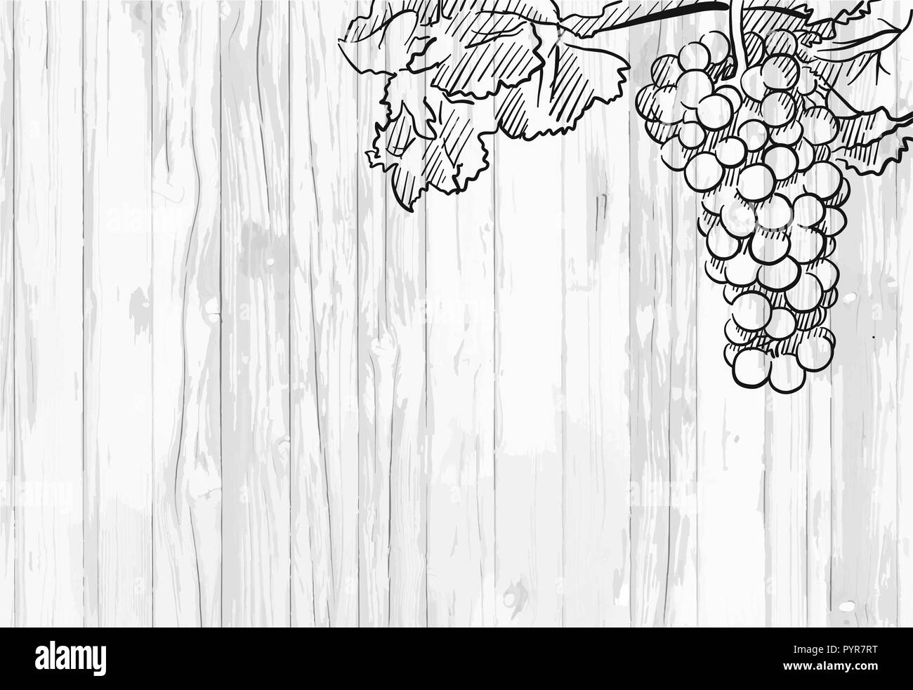 Wine menu background. Vector food illustration. Stock Vector
