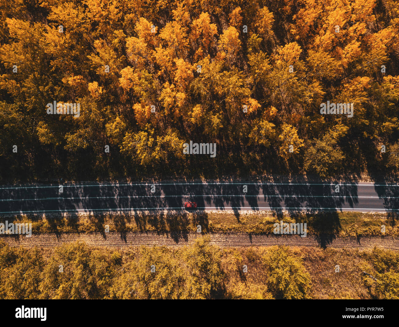 Aerial view of single red car driving on the road through forest in ...