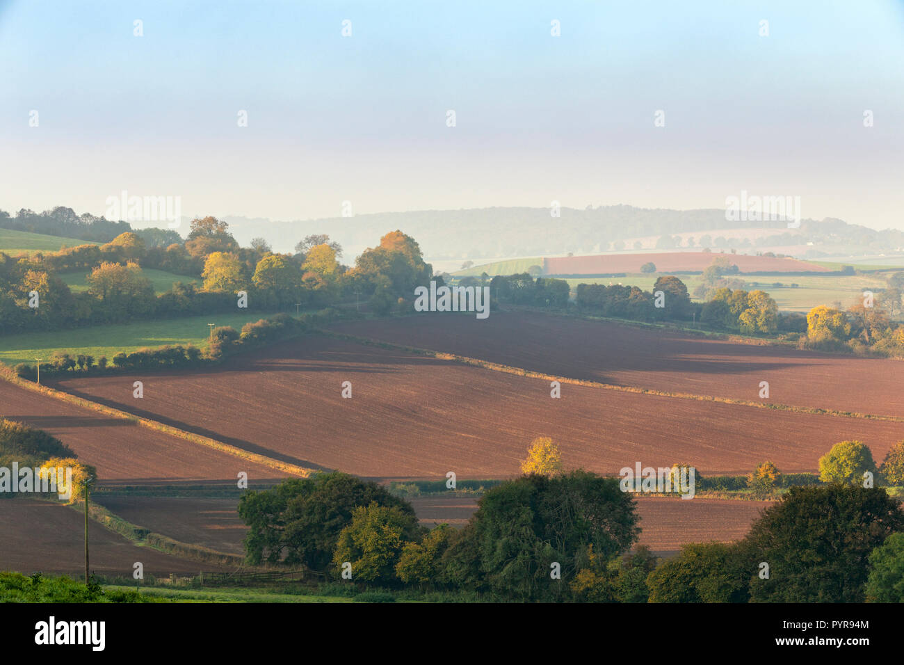 Low evening sun across farmland in south Wales, UK. Stock Photo