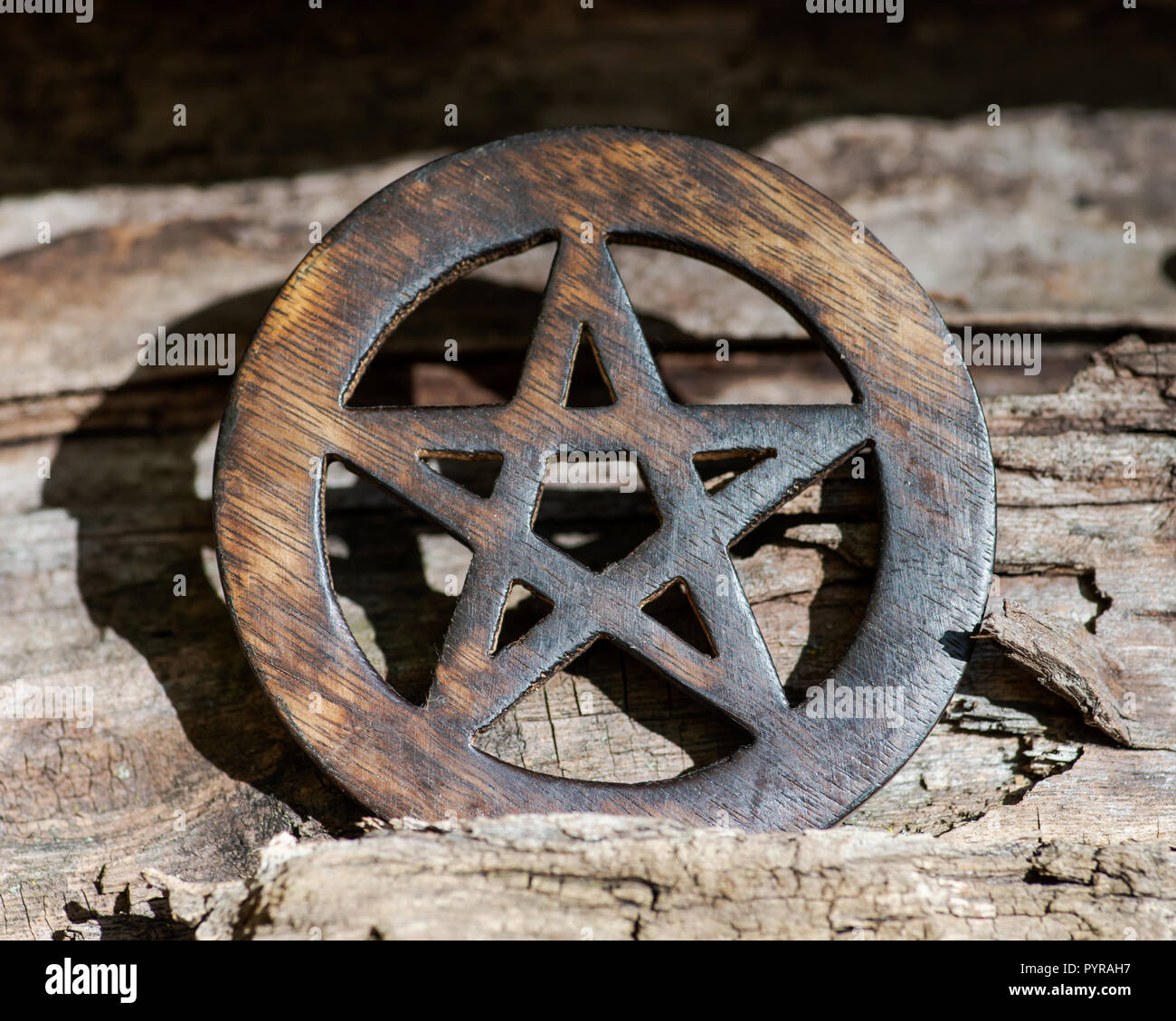 wooden-encircled-pentagram-symbol-on-fibrous-tree-bark-in-the-forest