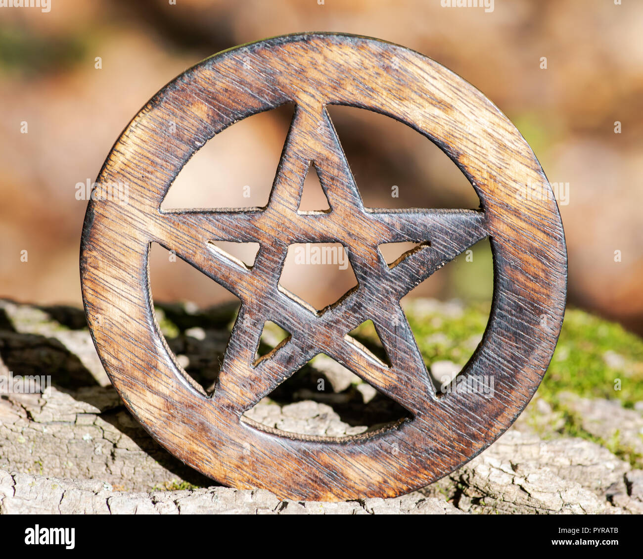 wooden-encircled-pentagram-symbol-on-fibrous-tree-bark-in-the-forest